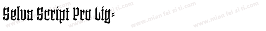 Selva Script Pro Lig字体转换